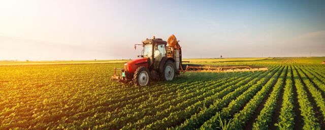 В Ленобласти отмечен рост производства  продукции сельскохозяйственной отрасли