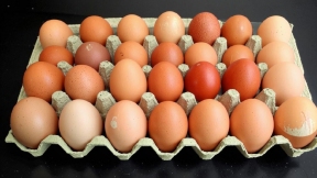 Выяснилось, сколько лет тюремного заключения получил «похититель яиц» в Северной столице