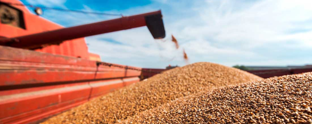 Спецпосол МИД РФ Озеров: Россия готова поставлять зерно нуждающимся странам вместо Украины