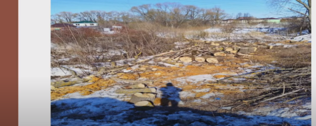 Заваленной спиленными деревьями реке Вертелевке в Казани грозит исчезновение