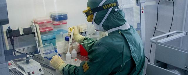 Ученые США: найдено антитело для полной блокировки коронавируса