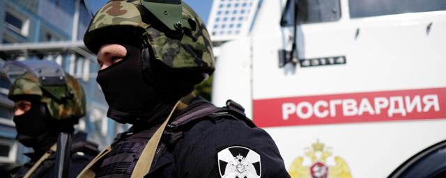ФСБ и Росгвардия ликвидировали в Чечне тайник с боеприпасами