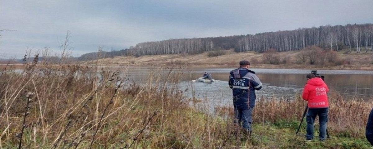 В Курске пытаются спасти лебедя, не улетевшего на зимовку