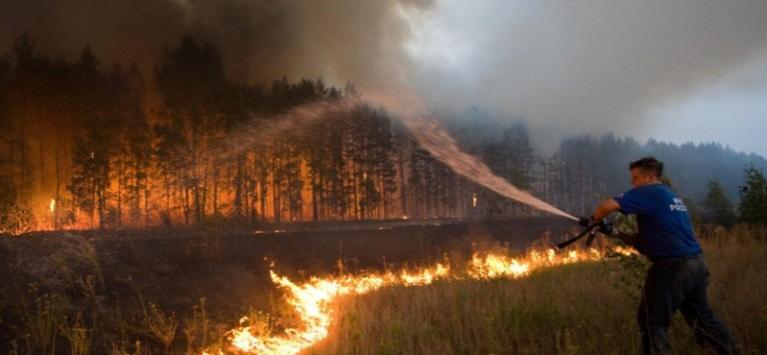 Площадь лесных пожаров в Забайкалье за выходные выросла в 1,5 раза