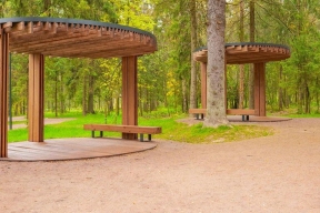 Лесопарки, спорт и мемориалы: Подмосковье собрало урожай премий и обошло всю Россию по числу заявок