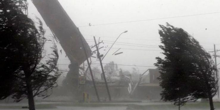 В Калининградской области штормовой ветер повалил десятки деревьев
