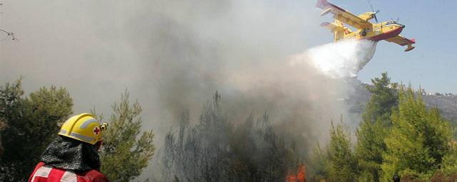 За сутки в Красноярском крае ликвидировали три лесных пожара
