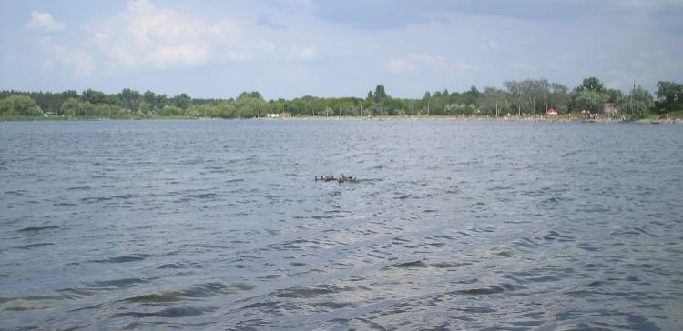 В Рязанской области из озера извлекли труп мужчины
