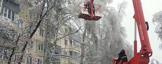В Ульяновске 7 декабря проходит субботник по устранению последствий ледяного дождя