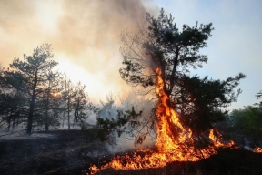 В Мурманской области за выходные потушили 310 гектаров горящего леса