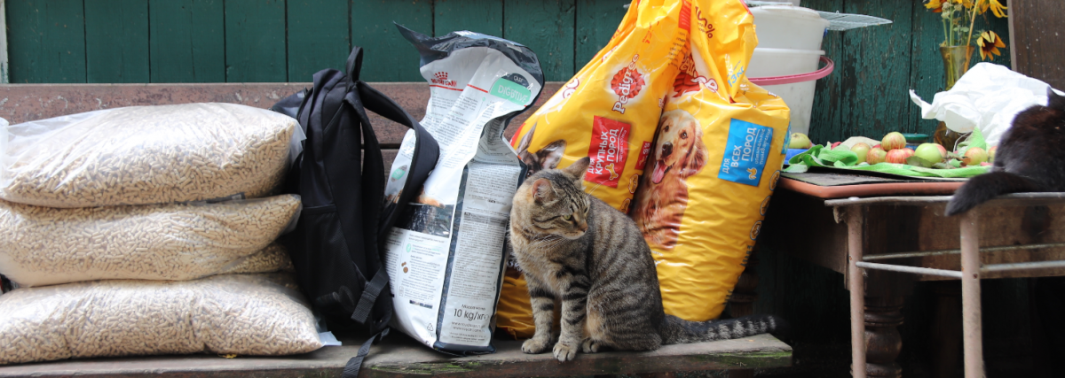 Красногорские волонтеры передали 30 килограммов корма в частный приют для животных
