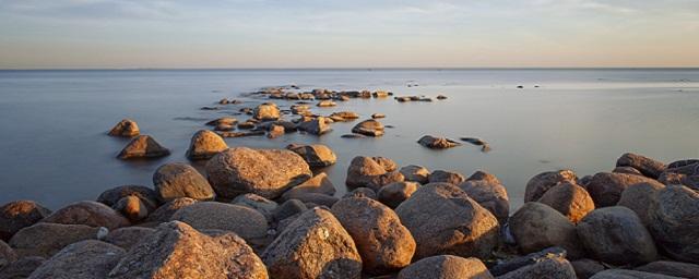 Эксперт Герштейн заявил, что ежегодно берег Финского залива отступает на полметра