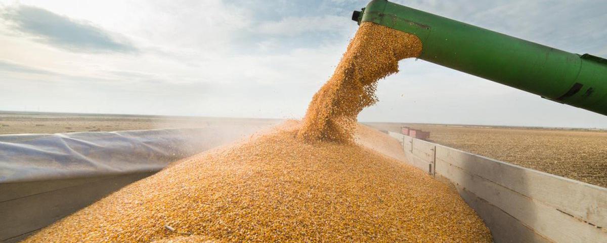 The UN promised Russia that it would soon lift restrictions on the export of Russian grain