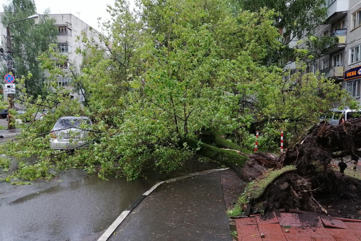 В Донецке работники «Донэлектроавтотранс» устраняют последствия стихии