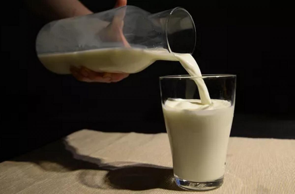 Врач-диетолог развенчала мифы о молочных продуктах