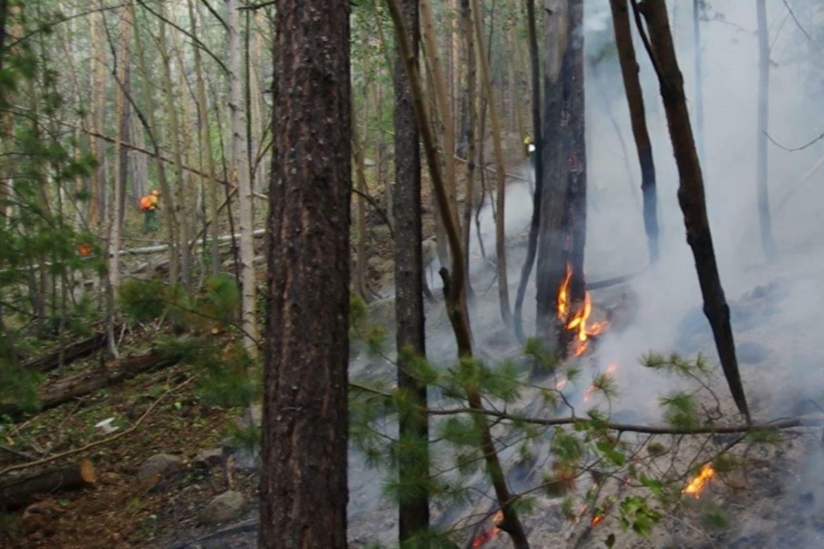 В текущем году шесть раз тушили особо охраняемые природные территории Рязанской области