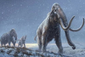 ВОЗ: древние вирусы из мерзлоты угрожают человечеству