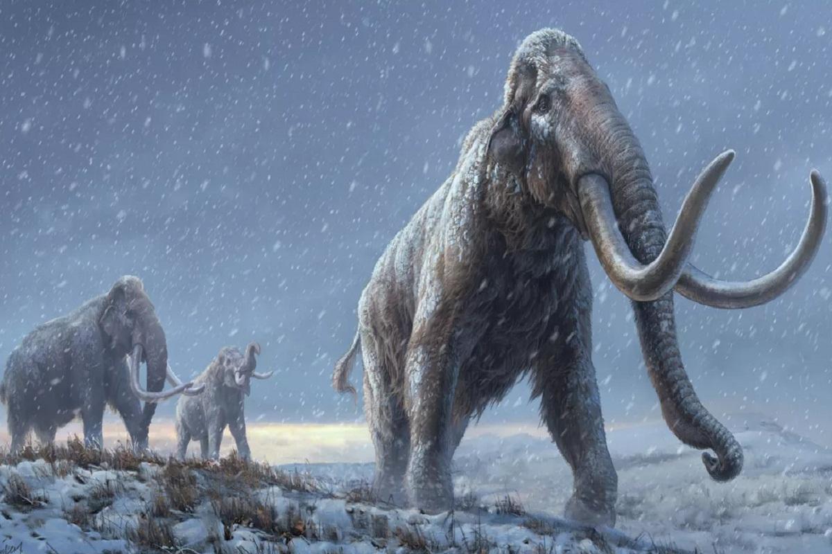 ВОЗ: древние вирусы из мерзлоты угрожают человечеству