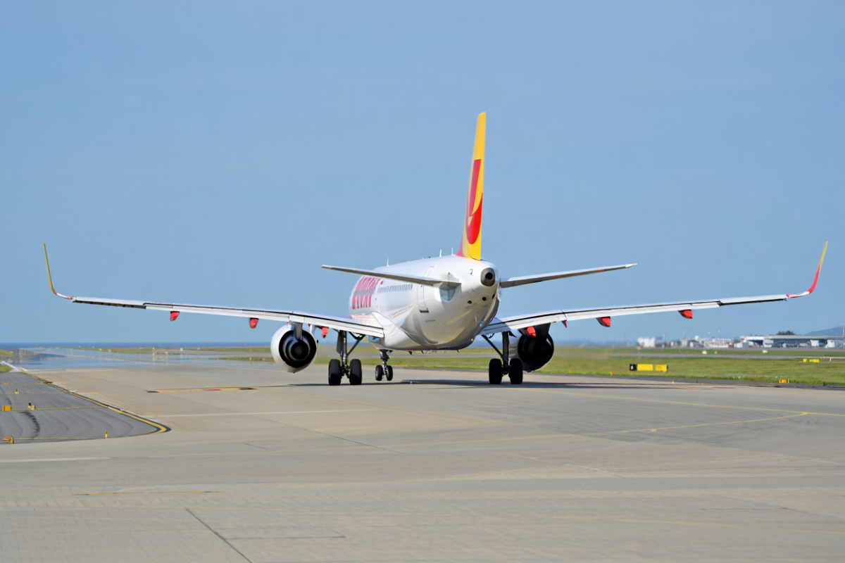 АТОР: стоимость перелета в Сочи снизилась на 75% к концу августа