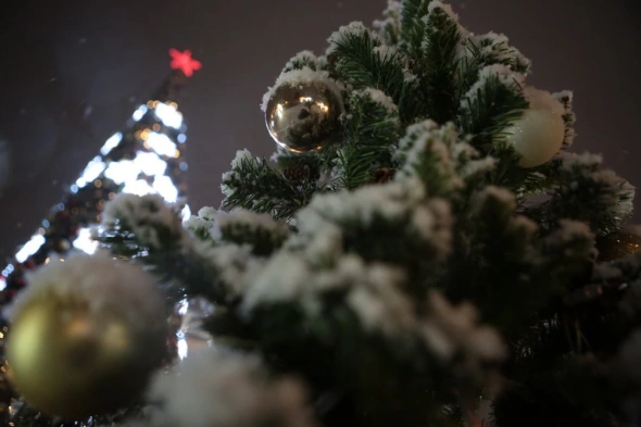 Мэрия Новосибирска убрала из программы новогодние гуляния 31 декабря