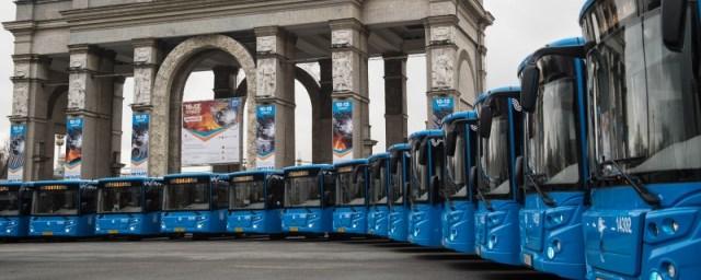 В Москве более 400 новых автобусов начнут перевозить пассажиров