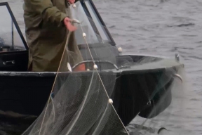 Губернатор НАО Ирина Гехт: Добытая в округе рыба полностью пойдет на внутреннее потребление