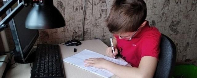 Школы Новочебоксарска перевели на дистанционное обучение