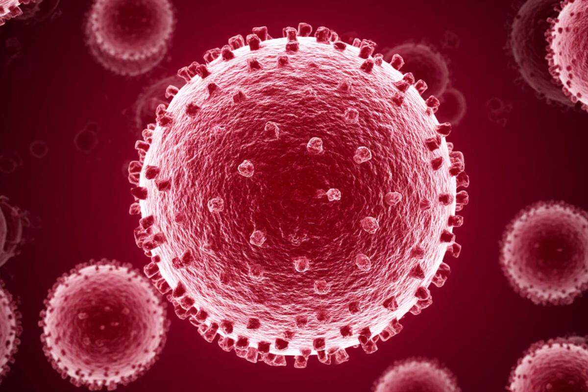 Врач рассказала о профилактике вирусных инфекций