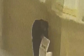 В Пензенской области задержали мужчину за кражу пожертвований из церкви на стрижку