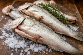 Мурманская рыбная продукция может выйти на рынок Бразилии