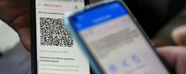 Власти Амурской области с 21 февраля отменят систему QR-кодов