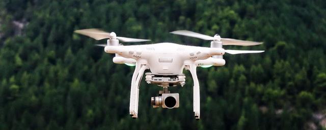 В лесах Забайкалья дроны контролируют соблюдение правил противопожарной безопасности
