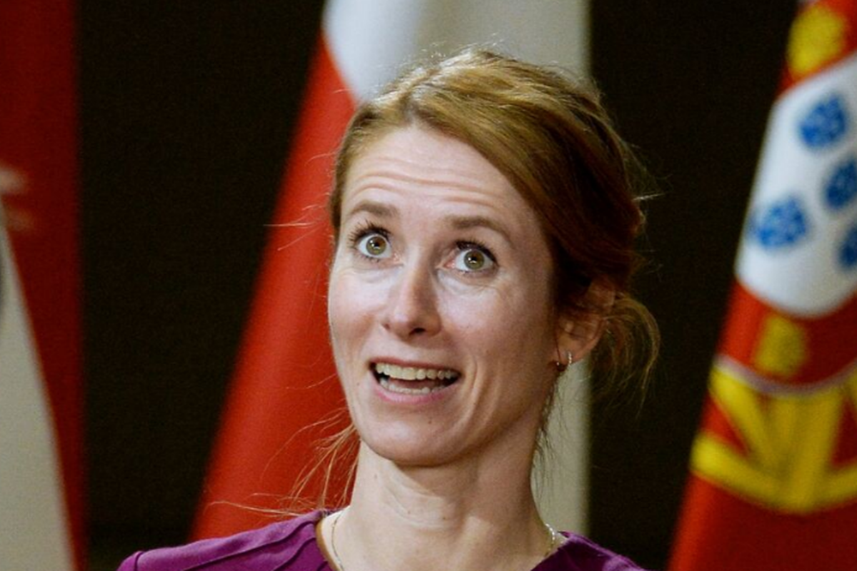 Это небезопасно: представитель МИД России объяснила, зачем нужно вызвать санитаров для Каи Каллас