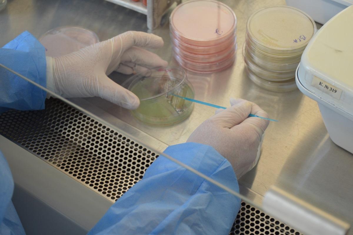 Более десятка редких и экзотических инфекции изучают в лабораторно-диагностическом центре ВНИИЗЖ