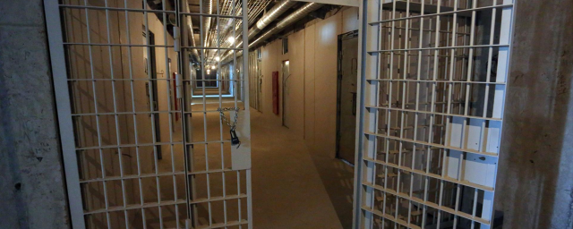 В Петербурге задержали мужчину, который лечился у психиатра и два месяца насиловал школьницу