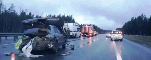 В Ленинградской области арестованы мужчины, у которых при ДТП выпал труп из багажника