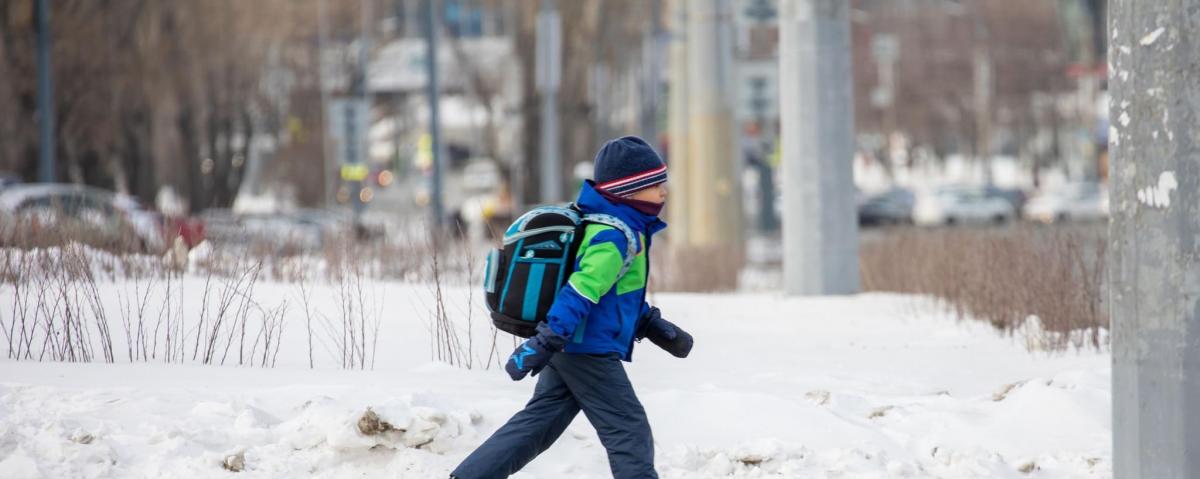 В ЯНАО часть школьников останется дома из-за морозов