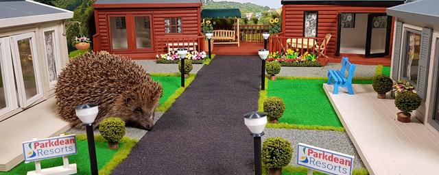England opens world’s first hedgehog park