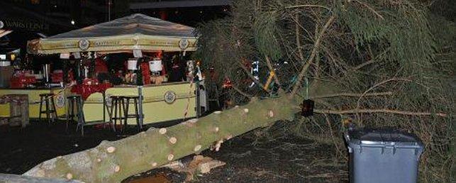 В Германии 15-метровая рождественская ель упала на гостей ярмарки