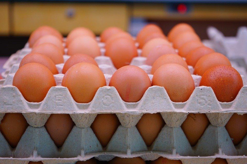 Жители Смоленска забросали яйцами шумную компанию