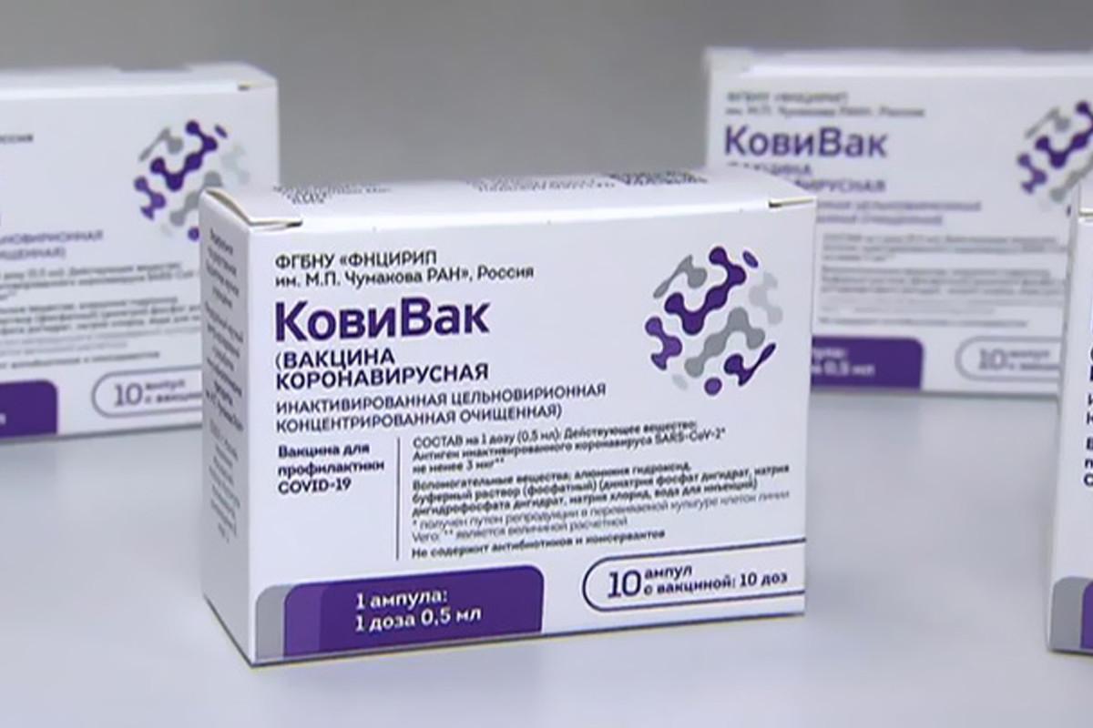 Вакцинолог Ивлева объяснила исчезновение вакцины «КовиВак» в Новосибирской области