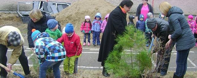В Хабаровске воспитанники детсада высадили деревья на Аллее Памяти