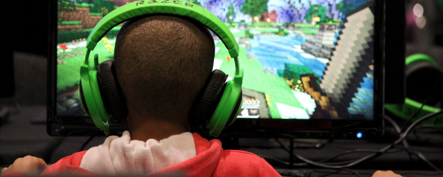 ФСБ подозревает школьников в терроризме из-за деятельности в Minecraft