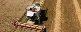 По итогам сельхозгода Россия вывезла за границу рекордные 59,3 млн тонн зерна