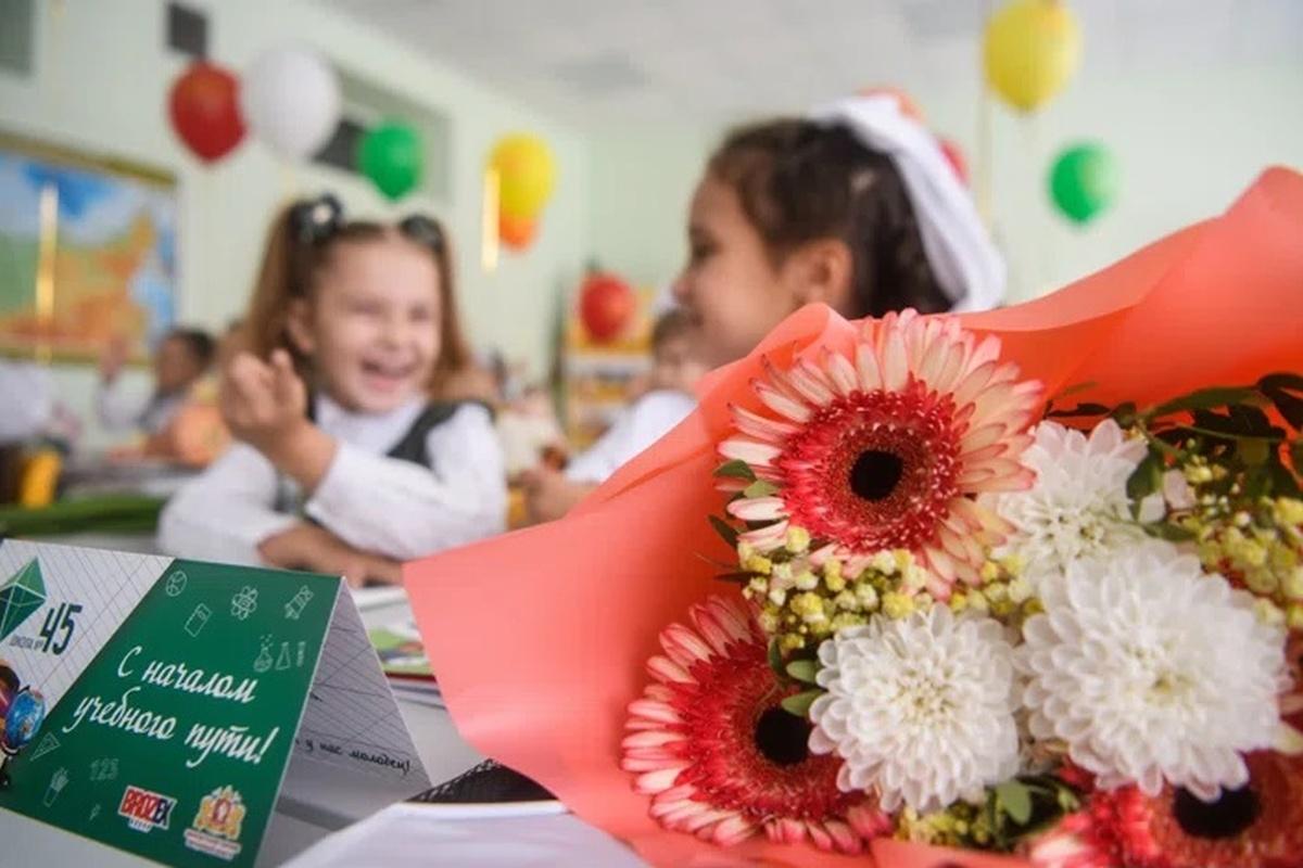 Член Общественной палаты СПб: Россия пока не готова к школе на 12 лет