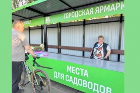 Места для садоводов – в Саранске обновляют торговые павильоны