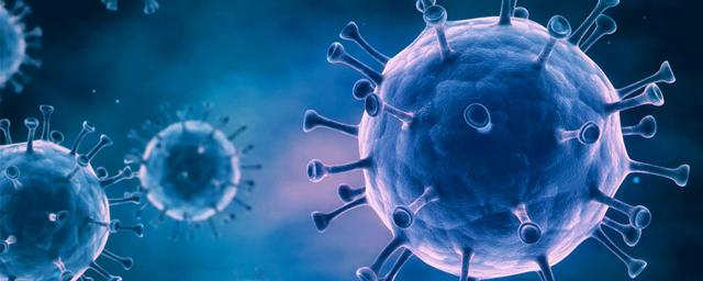 Учёные назвали главную «хитрость» коронавируса