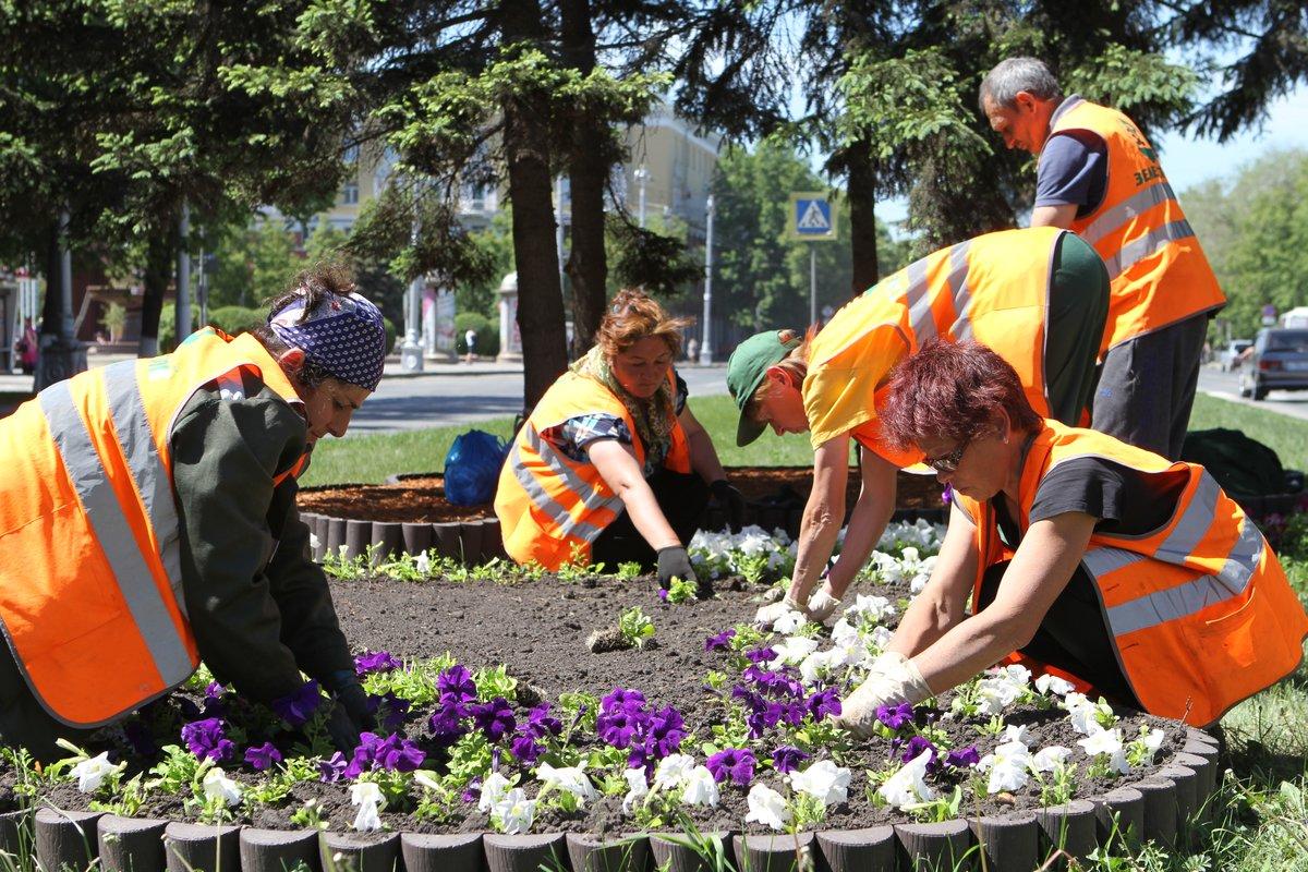 В Кемерове высадили полмиллиона цветов