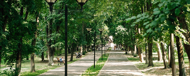 Щелково вошло в топ-20 округов Подмосковья по развитию парков культуры и отдыха