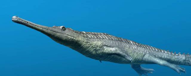 Палеонтологи нашли останки древнего предка крокодила, обитавшего в море